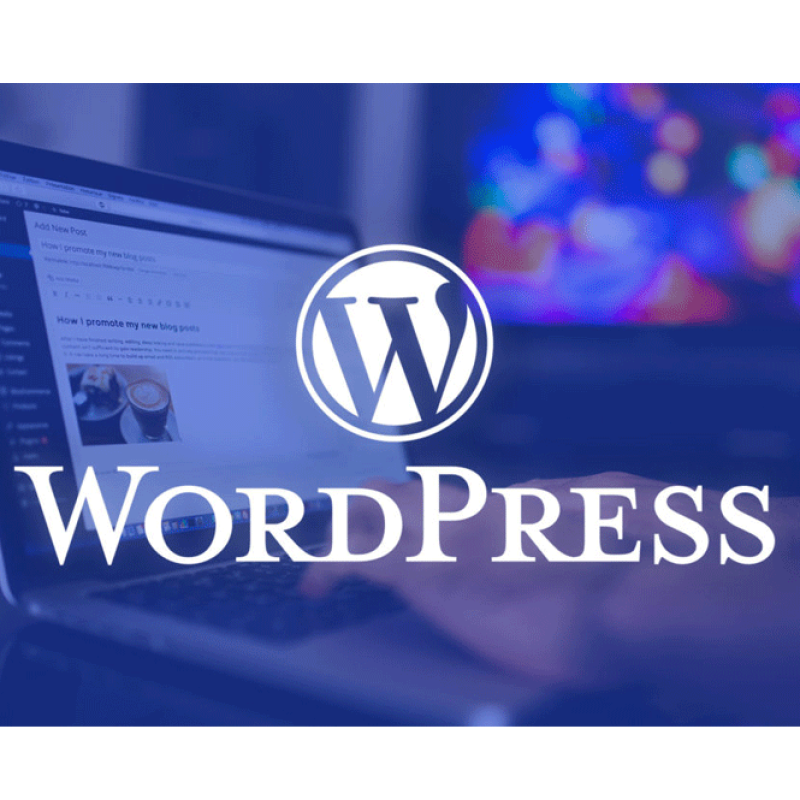 一站式wordpress建站服务